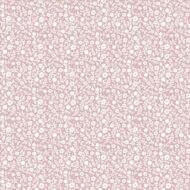 Monir