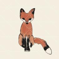 Front Fox