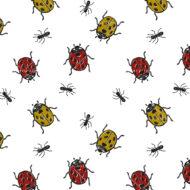 Ants