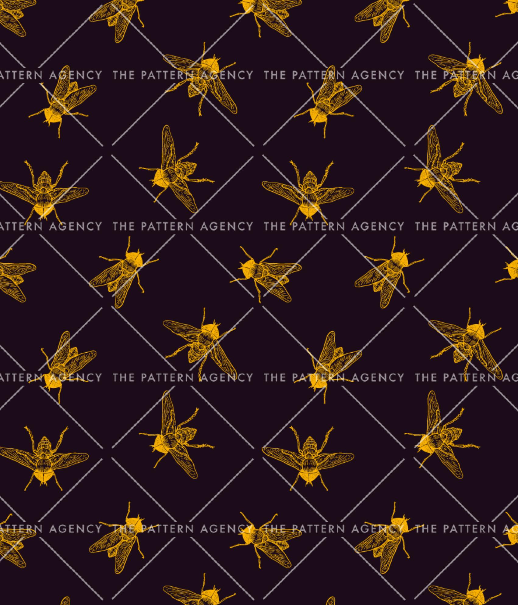 Flyflies - Image 3
