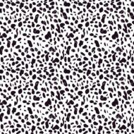 Dalmation Spot