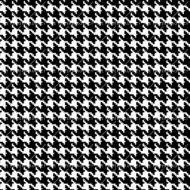Dogtooth 4
