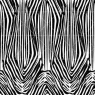 Zebra 2