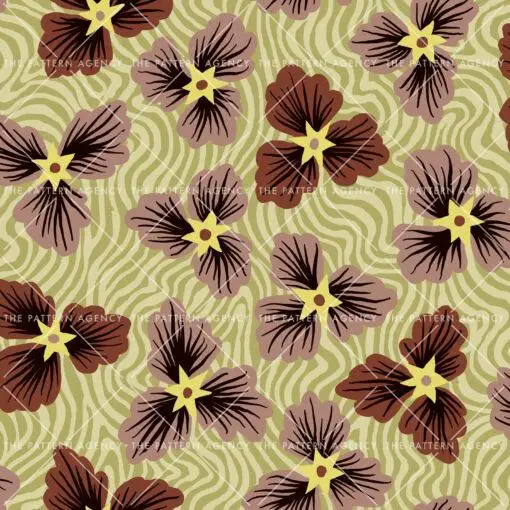 Starflower - Image 2