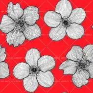 CutOutFlowers