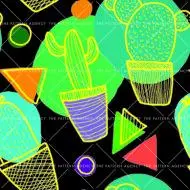 CactusChaos