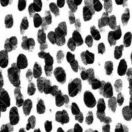 DOUBLE DOTS