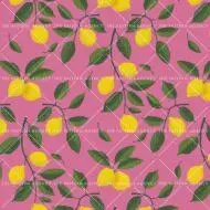 Lemon Orchard