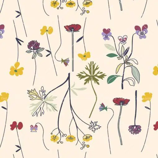 Herbarium