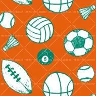 BallsySports