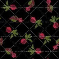 Redbeet