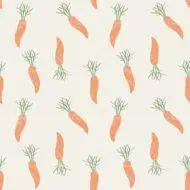 Carrots From The Garden