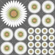DaisyFlower