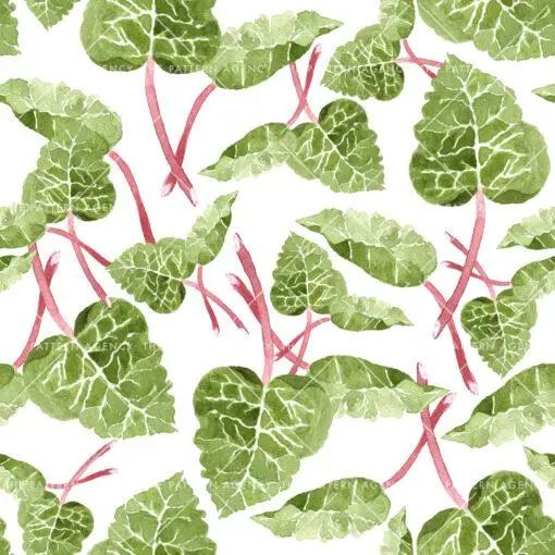 A pattern with rhubarb leaves in watercolor painting style. The leaves' dark green stems and red leaf ribs contrast against the white background and create a lively and graphic expression.