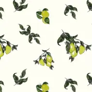 LIMONCELLO